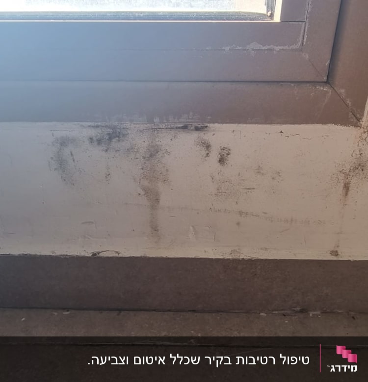 קיר עם סימני רטיבות ועובש ליד חלון